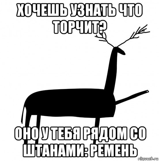 хочешь узнать что торчит? оно у тебя рядом со штанами: ремень, Мем  Вежливый олень