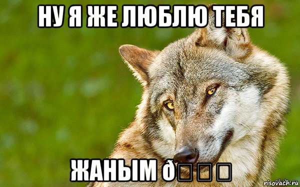 Мем   Volf