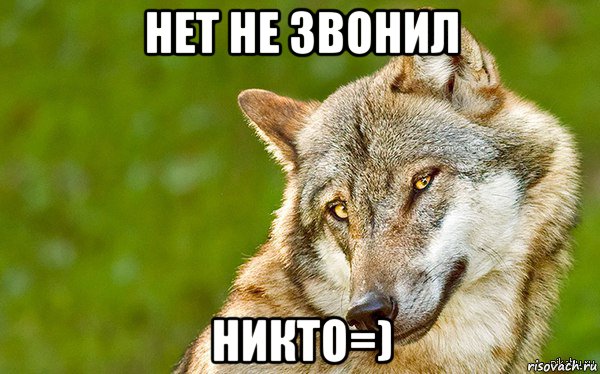 нет не звонил никто=), Мем   Volf