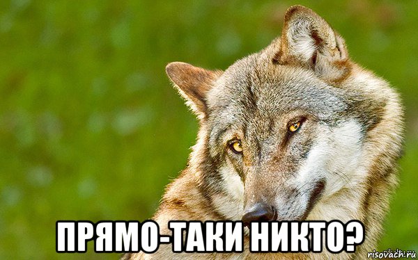  прямо-таки никто?, Мем   Volf