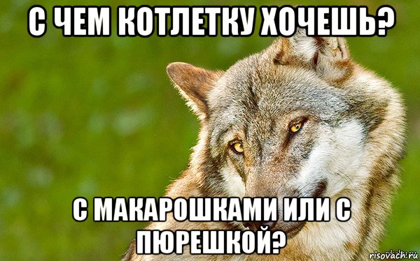 с чем котлетку хочешь? с макарошками или с пюрешкой?, Мем   Volf