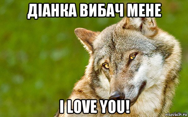 діанка вибач мене i love you!, Мем   Volf