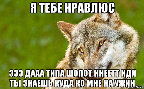 я тебе нравлюс эээ дааа типа шопот ннеетт иди ты знаешь куда ко мне на ужин, Мем   Volf