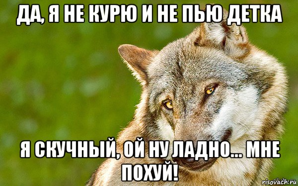 да, я не курю и не пью детка я скучный, ой ну ладно... мне похуй!, Мем   Volf