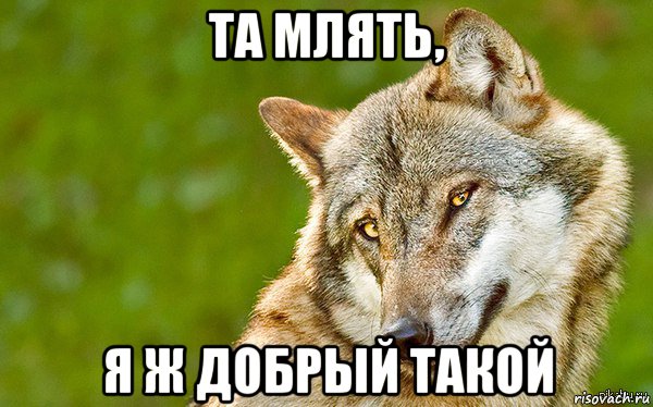 та млять, я ж добрый такой, Мем   Volf