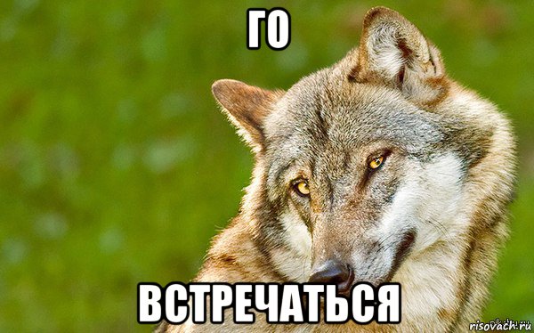 го встречаться, Мем   Volf