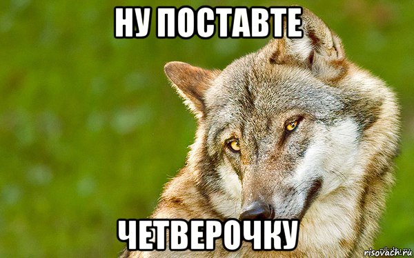 ну поставте четверочку, Мем   Volf