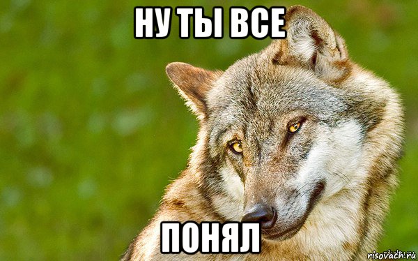 ну ты все понял, Мем   Volf