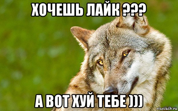 хочешь лайк ??? а вот хуй тебе ))), Мем   Volf