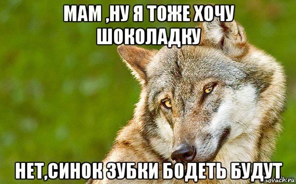 мам ,ну я тоже хочу шоколадку нет,синок зубки бодеть будут, Мем   Volf