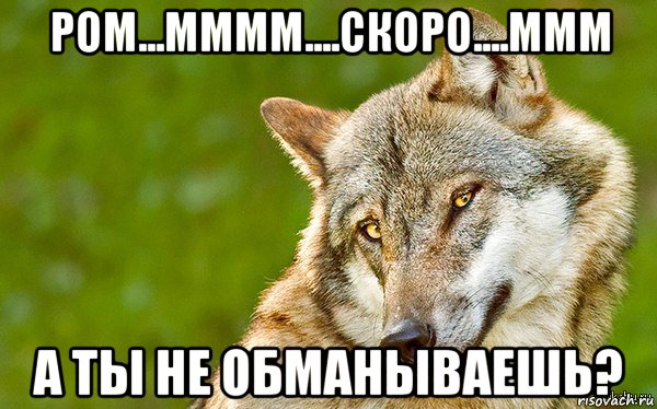 ром...мммм....скоро....ммм а ты не обманываешь?, Мем   Volf