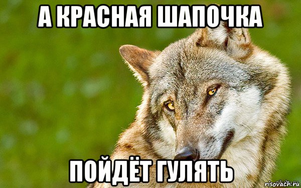 а красная шапочка пойдёт гулять, Мем   Volf