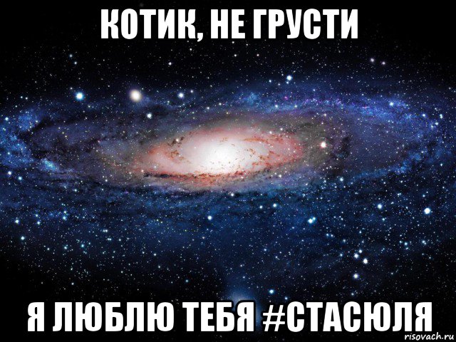 котик, не грусти я люблю тебя #стасюля, Мем Вселенная