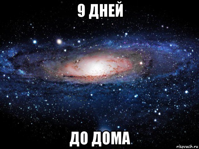 9 дней до дома