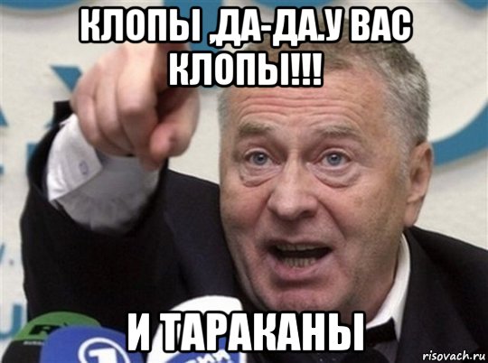 клопы ,да-да.у вас клопы!!! и тараканы