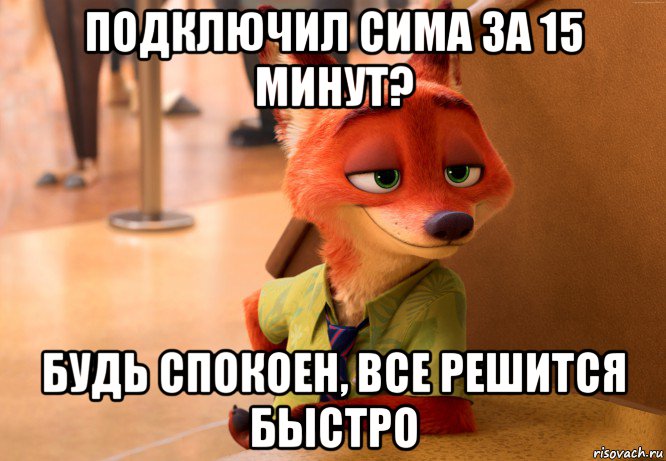 подключил сима за 15 минут? будь спокоен, все решится быстро, Мем Лис из Зверополиса