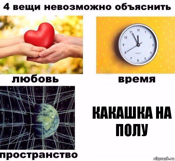 Какашка на полу