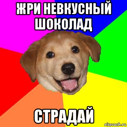 жри невкусный шоколад страдай, Мем Advice Dog