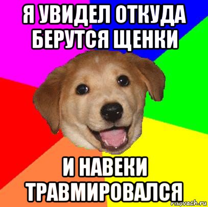 я увидел откуда берутся щенки и навеки травмировался, Мем Advice Dog