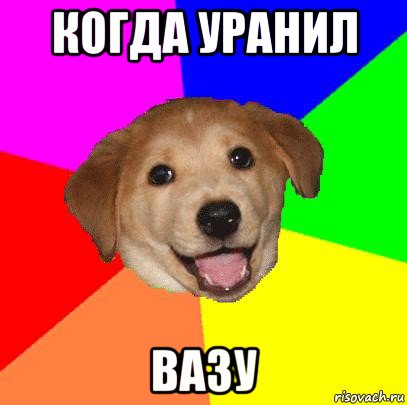 когда уранил вазу, Мем Advice Dog