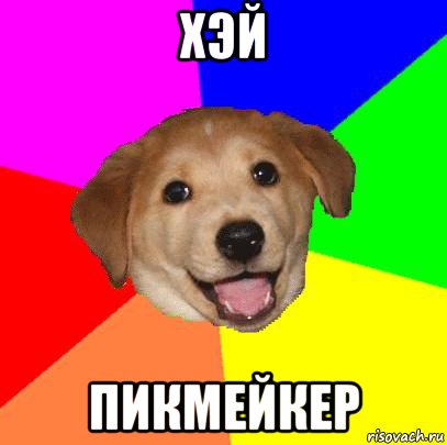 хэй пикмейкер, Мем Advice Dog