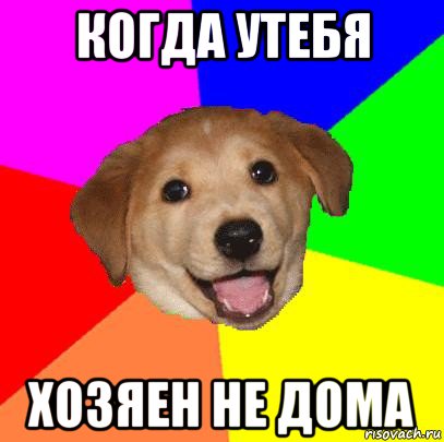 когда утебя хозяен не дома, Мем Advice Dog