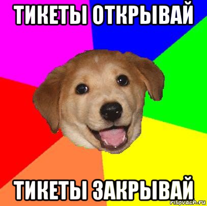 тикеты открывай тикеты закрывай, Мем Advice Dog