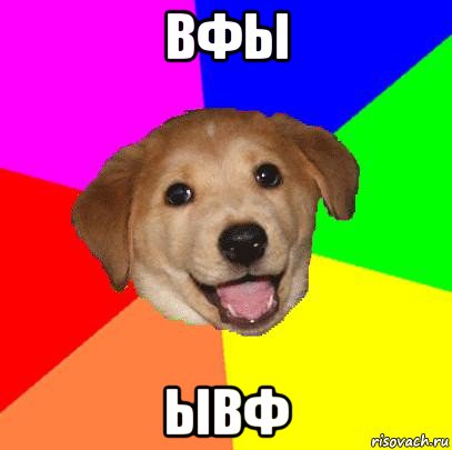 вфы ывф, Мем Advice Dog