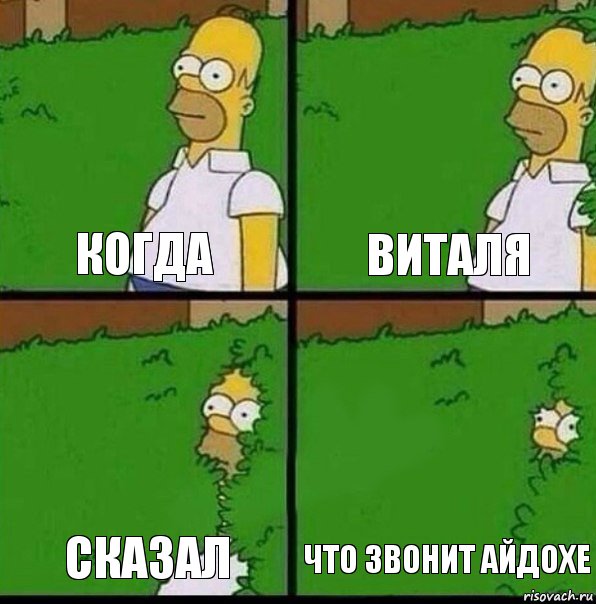 Когда Виталя Сказал Что звонит айдохе, Комикс Гомер спрятался в кусты