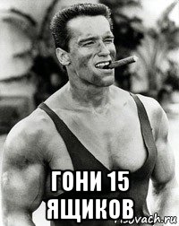  гони 15 ящиков, Мем  Арнольд Шварценеггер с сигарой