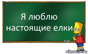 Я люблю настоящие елки