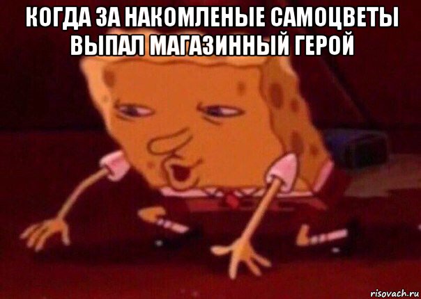 когда за накомленые самоцветы выпал магазинный герой , Мем    Bettingmemes