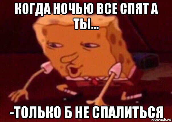 когда ночью все спят а ты... -только б не спалиться, Мем    Bettingmemes