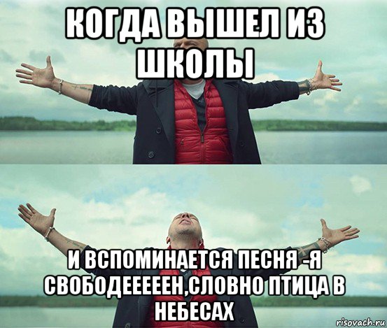 когда вышел из школы и вспоминается песня -я свободееееен,словно птица в небесах, Мем Безлимитище