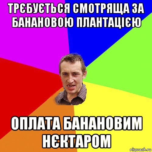 трєбується смотряща за банановою плантацією оплата банановим нєктаром, Мем Чоткий паца