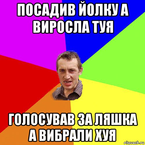 посадив йолку а виросла туя голосував за ляшка а вибрали хуя, Мем Чоткий паца