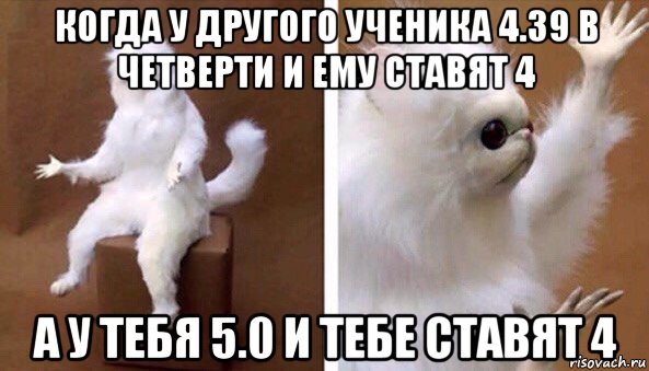 когда у другого ученика 4.39 в четверти и ему ставят 4 а у тебя 5.0 и тебе ставят 4