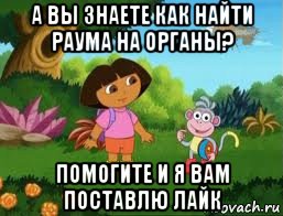 а вы знаете как найти раума на органы? помогите и я вам поставлю лайк, Мем Даша следопыт