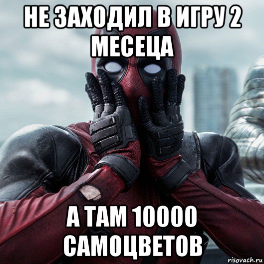 не заходил в игру 2 месеца а там 10000 самоцветов