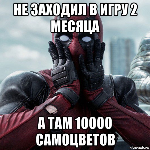 не заходил в игру 2 месяца а там 10000 самоцветов