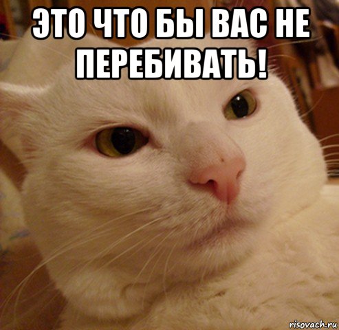 это что бы вас не перебивать! , Мем Дерзкий котэ