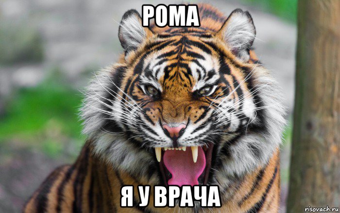 рома я у врача