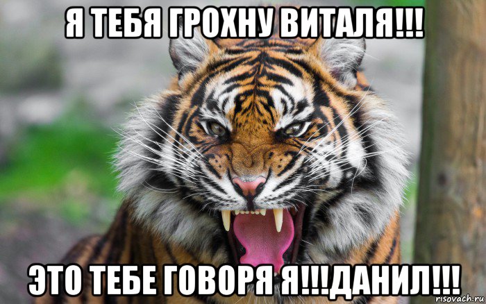 я тебя грохну виталя!!! это тебе говоря я!!!данил!!!