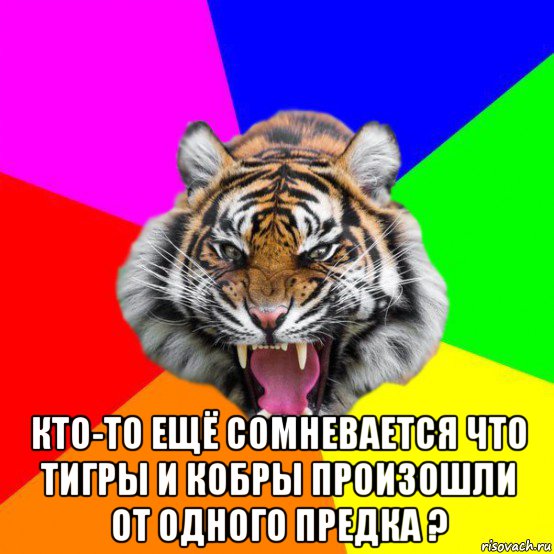  кто-то ещё сомневается что тигры и кобры произошли от одного предка ?, Мем  ДЕРЗКИЙ ТИГР