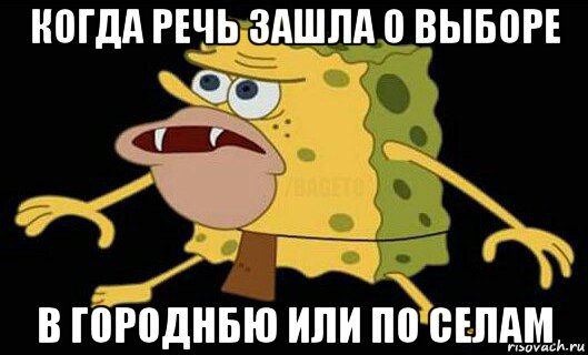 когда речь зашла о выборе в городнбю или по селам, Мем Дикий спанч боб