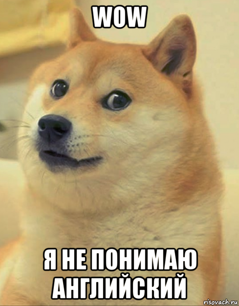 wow я не понимаю английский, Мем doge woof