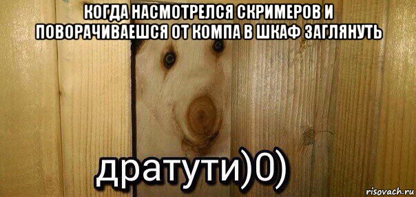 когда насмотрелся скримеров и поворачиваешся от компа в шкаф заглянуть , Мем  Дратути