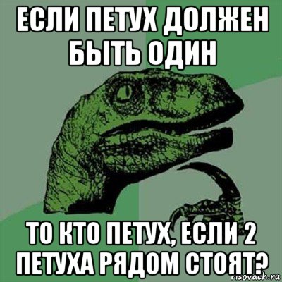 если петух должен быть один то кто петух, если 2 петуха рядом стоят?, Мем Филосораптор