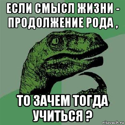 если смысл жизни - продолжение рода , то зачем тогда учиться ?, Мем Филосораптор