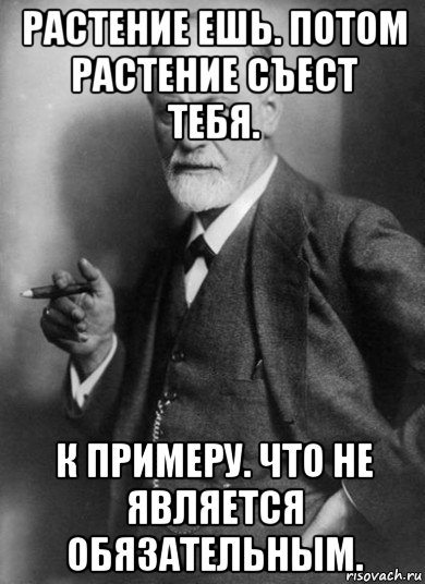 растение ешь. потом растение съест тебя. к примеру. что не является обязательным., Мем    Фрейд